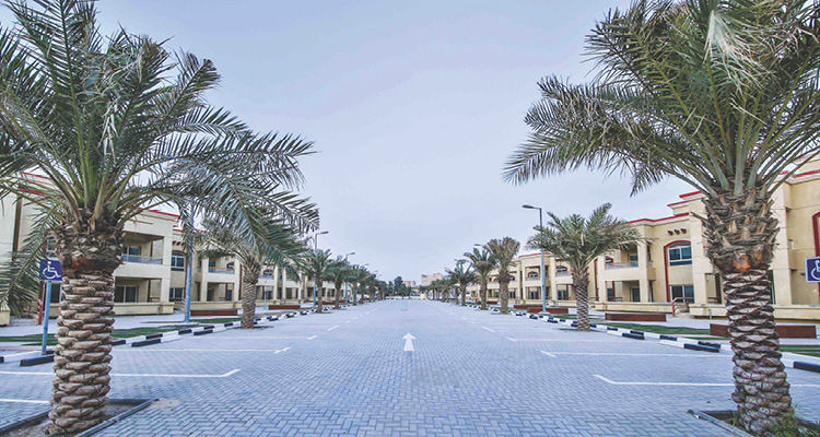 Dine Zone cover photo
