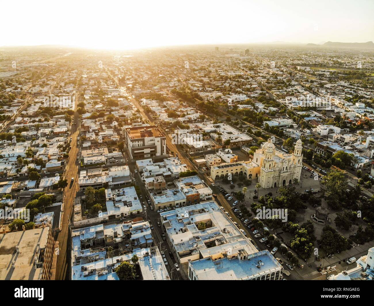 Plaza Real cover photo