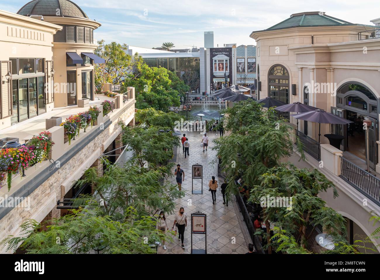 The Grove cover photo