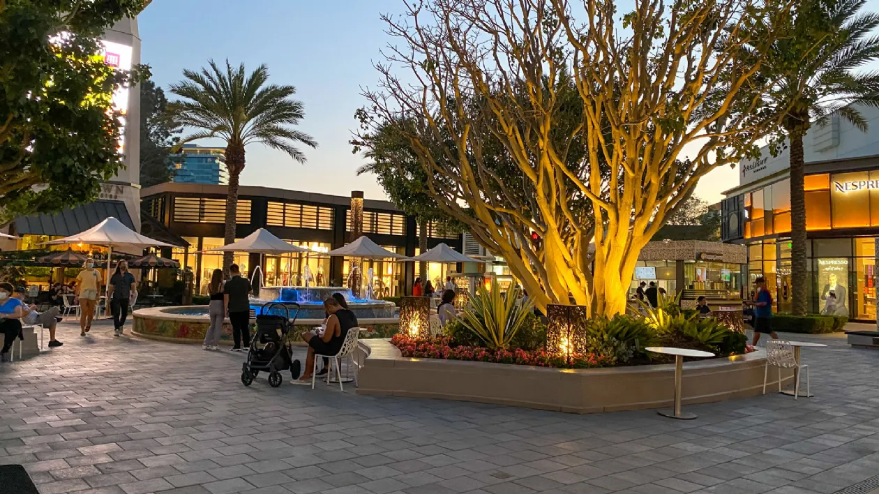 University Town Center cover photo