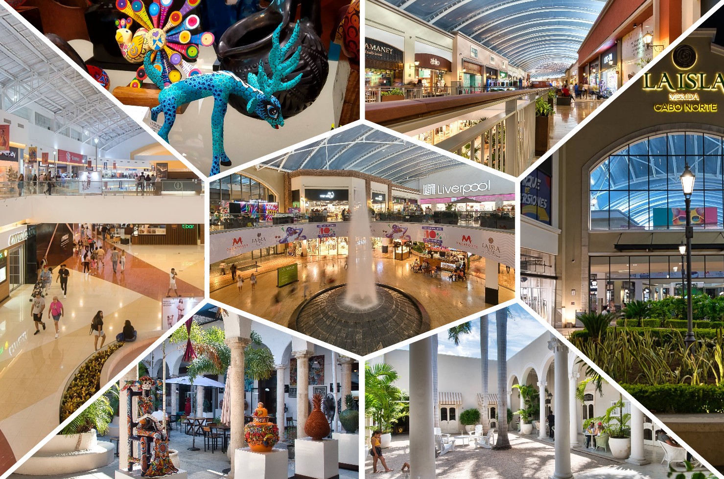 City Center Mérida cover photo