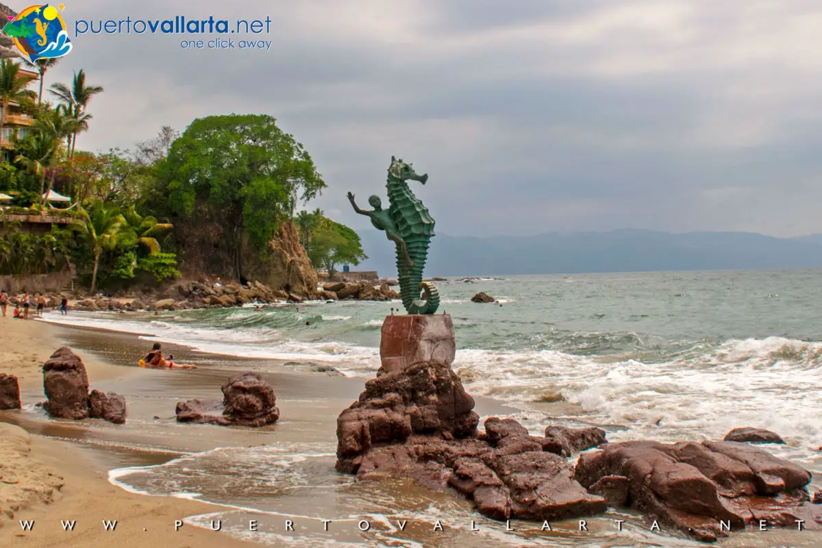 Plaza Dorada cover photo