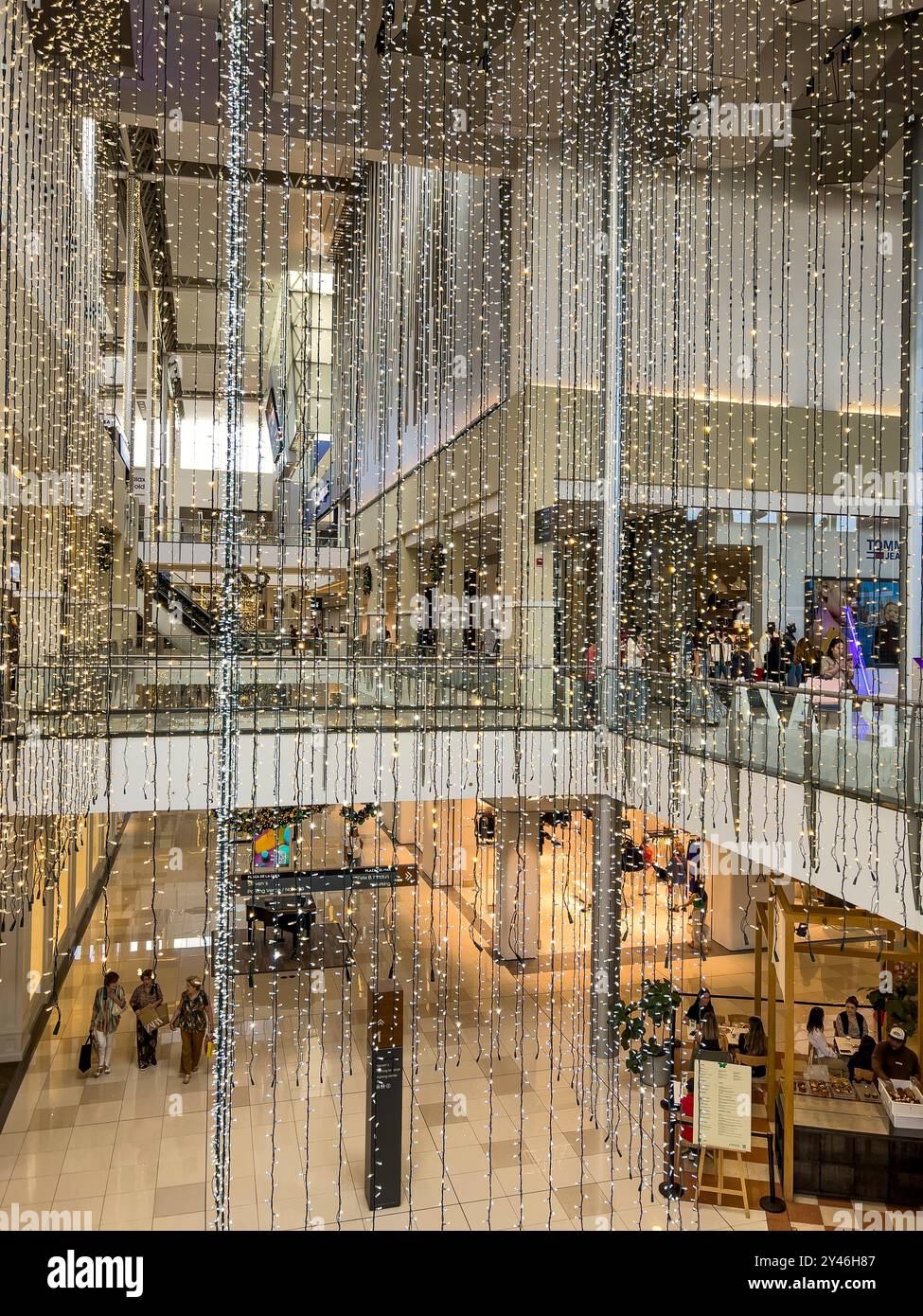 Multiplaza David cover photo