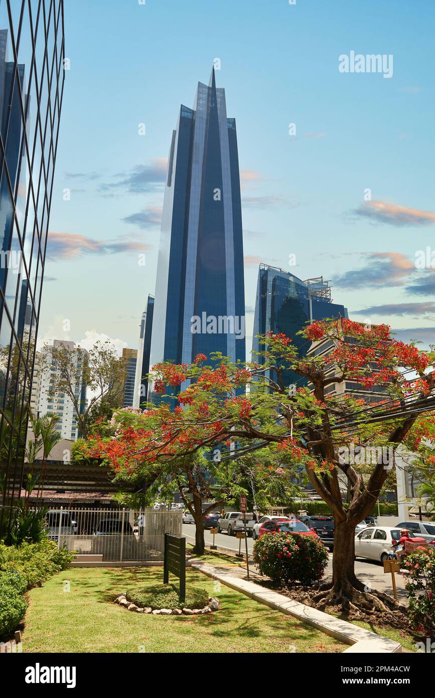 Plaza De La Amistad cover photo
