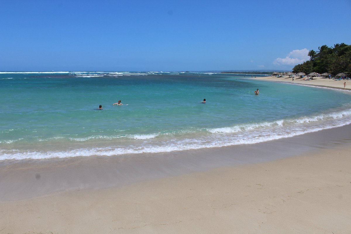 Ocean Plaza cover photo