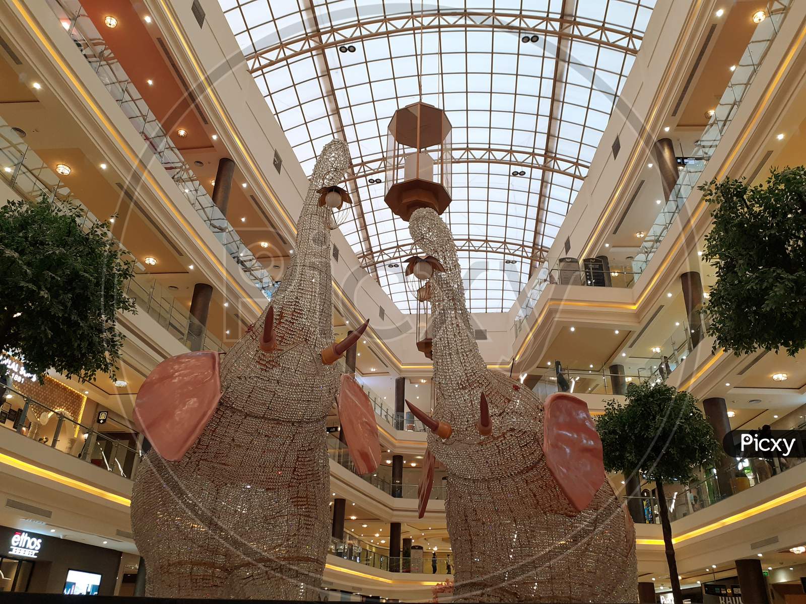 Phoenix Palassio Mall cover photo
