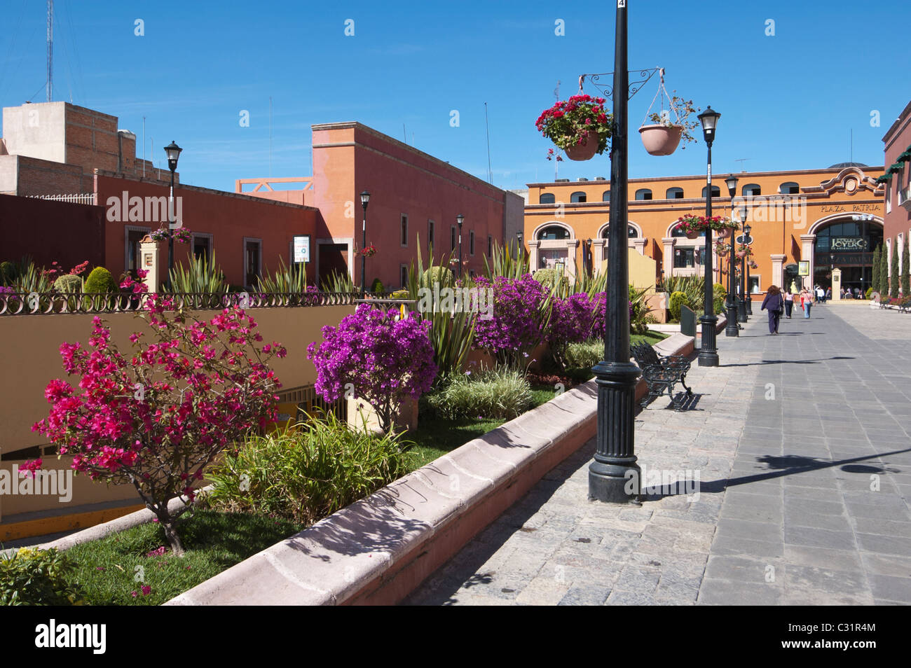 Plaza Patria cover photo