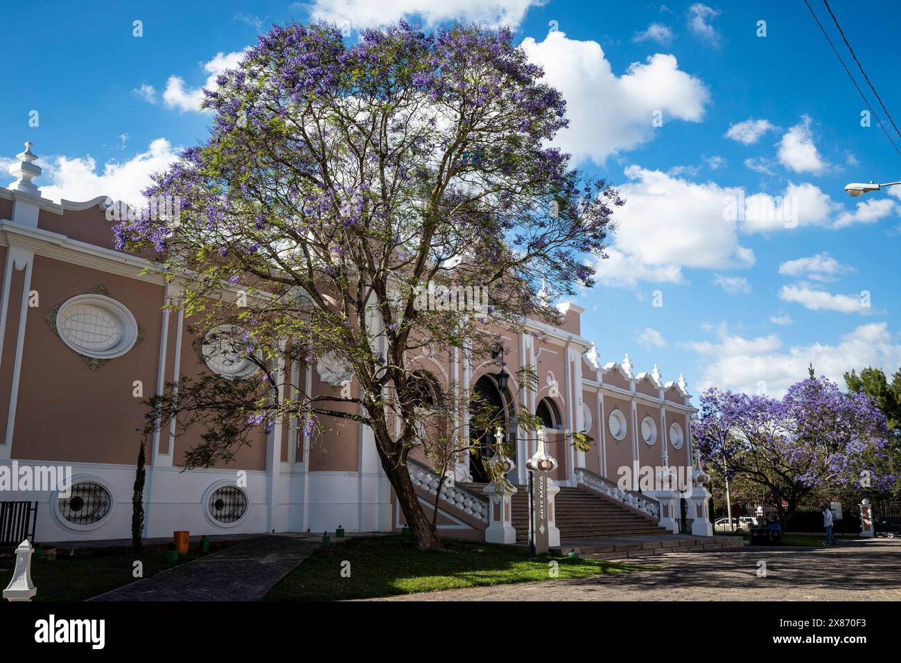 Plaza Del Sur cover photo