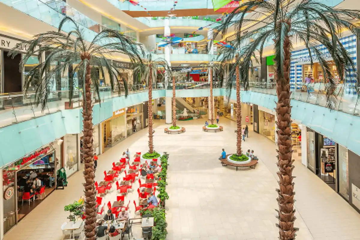 Sambil Santo Domingo cover photo