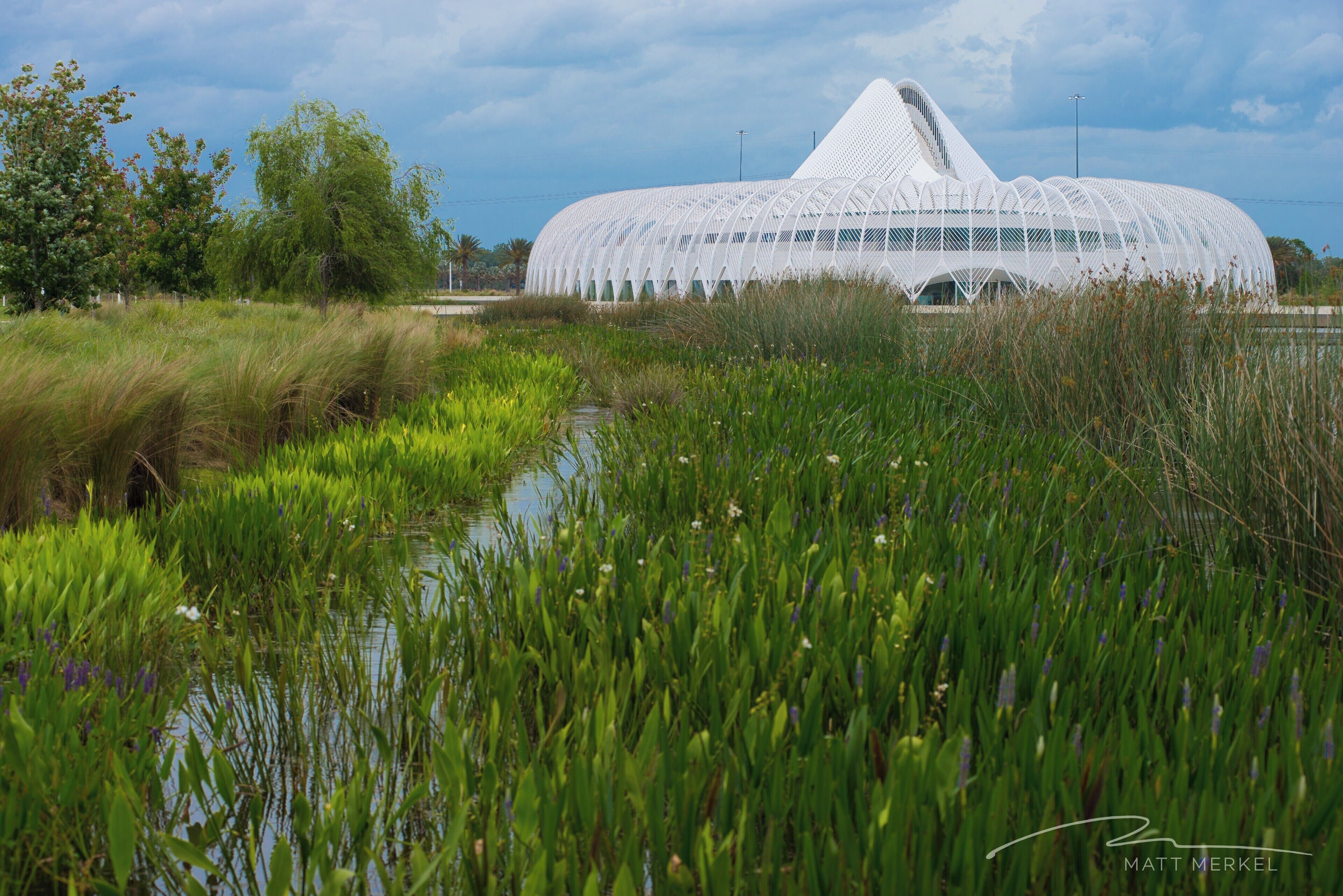 Lakeland Commons cover photo