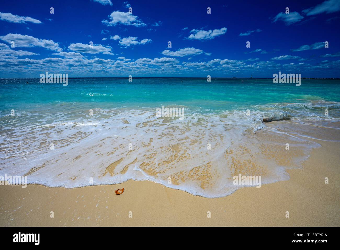 The Strand cover photo