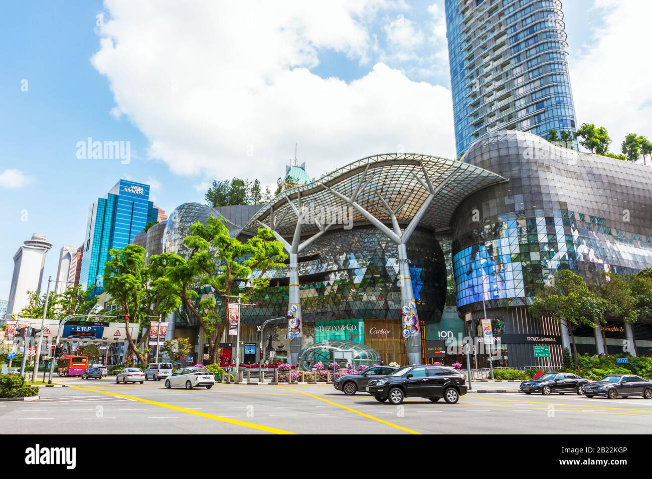 Ion Orchard cover photo